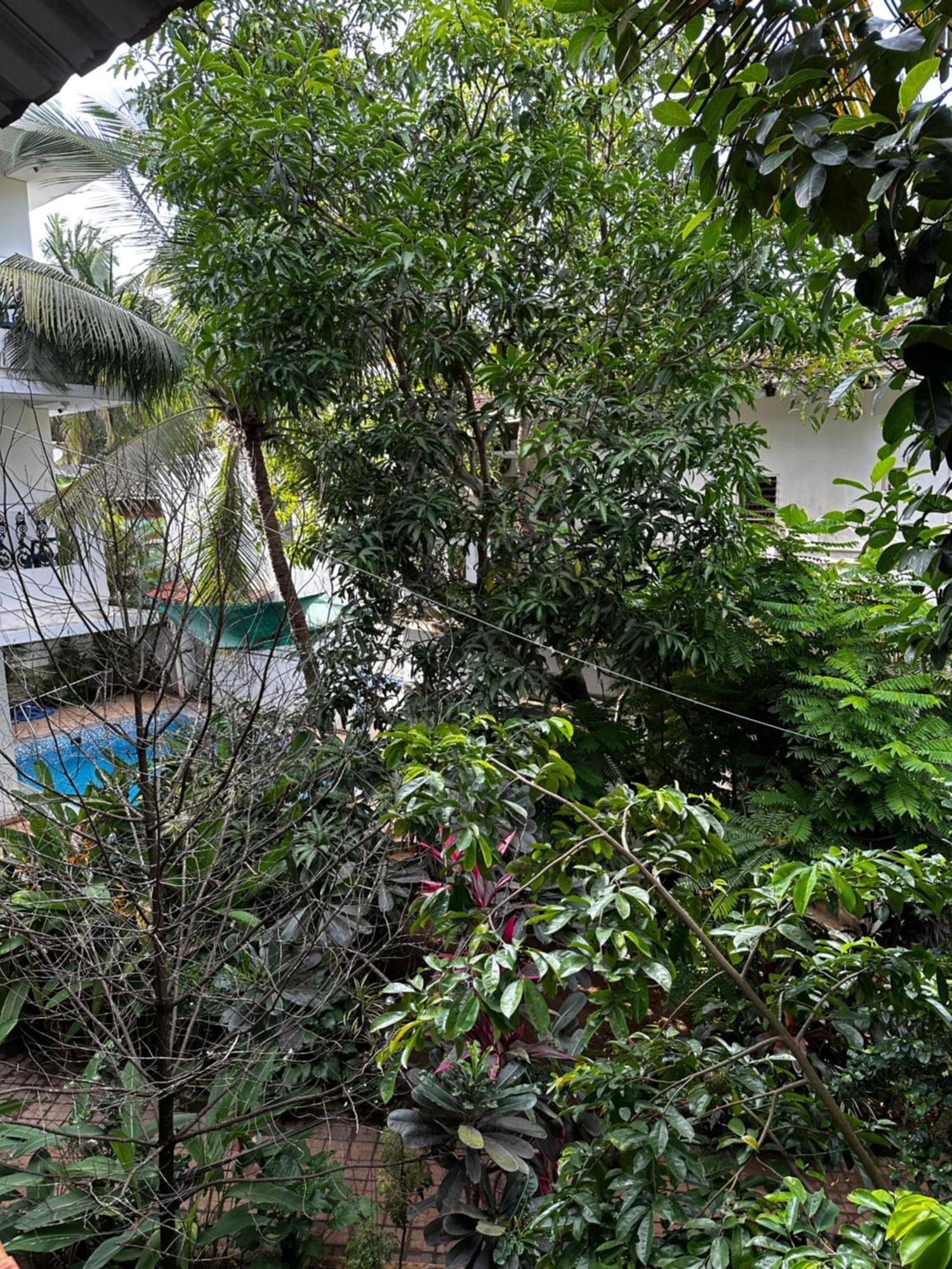 Sunshine Vagator Hotel Exterior photo